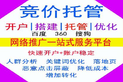 SEO与SEM优化案例：打造行业领先品牌